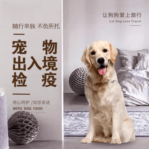 襄樊市宠物托运到哥伦比亚猫狗宠物入境规定和