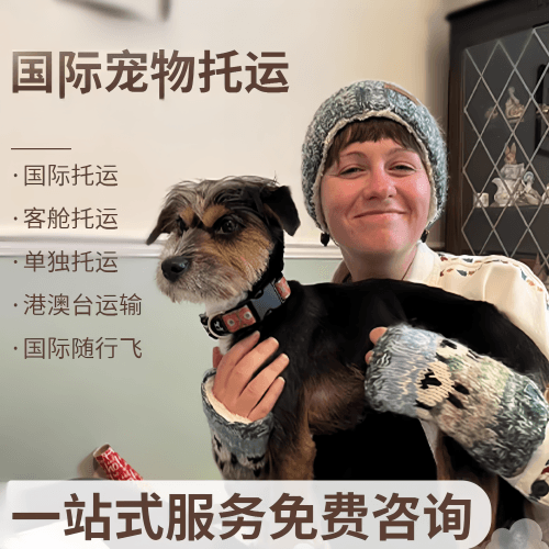 襄樊市国际宠物托运到阿根廷宠物入境规定和要