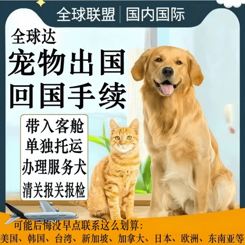 襄樊市宠物托运到柬埔寨宠物入境规定和要求