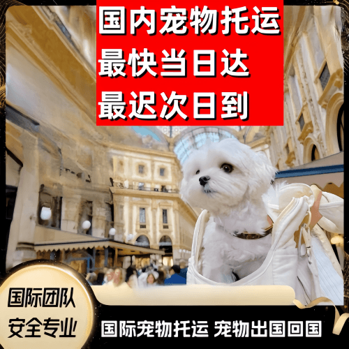 襄樊市到澳大利亚（澳洲）宠物入境规定和要求